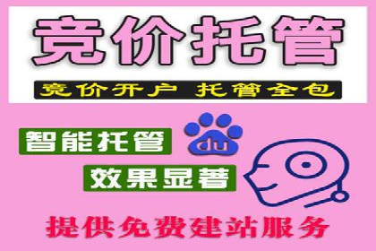 百度推广策略：案例分析如何实现转化